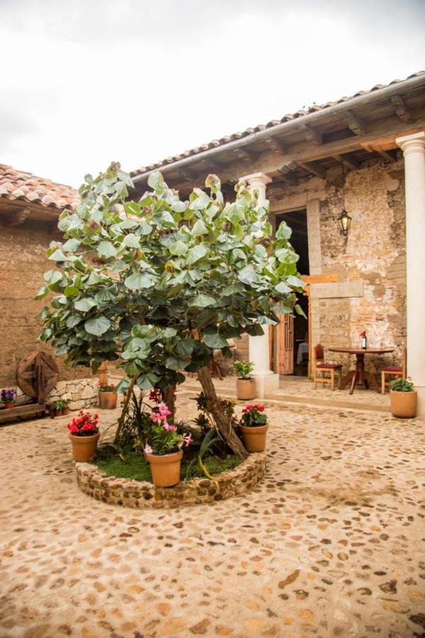 Hotel Casa De Gandhi San Cristobal de las Casas Ngoại thất bức ảnh